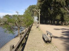 two park benches sitting on the side of a road next to a body of water