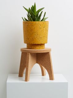 a yellow potted plant sitting on top of a small wooden stool next to a white wall