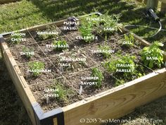 a garden box filled with lots of plants and labeled names on it's sides