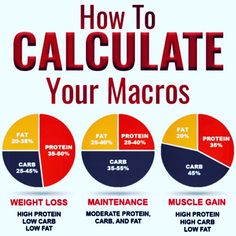 Macro Nutrition, Macros Diet, Resep Diet, Carb Cycling, Macro Meals, Maintain Weight, Makanan Diet, High Protein Low Carb