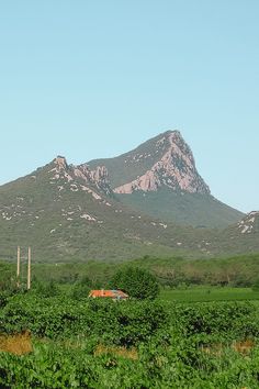 the mountains are in the distance with green vegetation