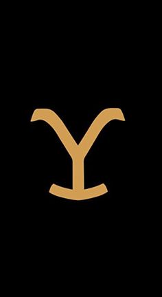 the letter y in gold on a black background