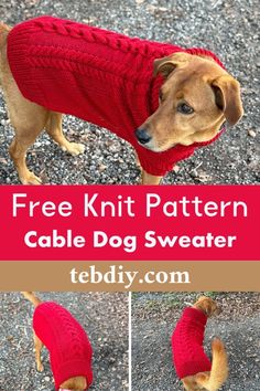 a dog wearing a red knit sweater with the text free knitting pattern cable dog sweater