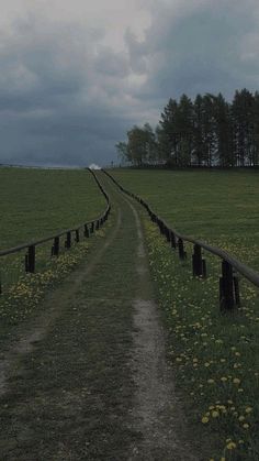 a dirt road running through a lush green field