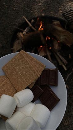 marshmallows on a plate next to a campfire