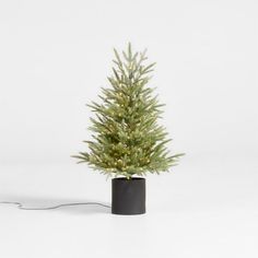 a small christmas tree in a black pot on a white background with a cord attached to it