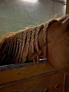 a brown horse with braids on it's head looking out the window at something