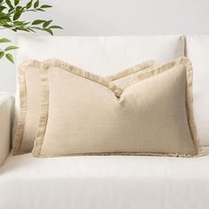 two pillows sitting on top of a white couch next to a green potted plant