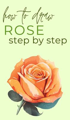 an orange rose with the words how to draw rose step by step written on it