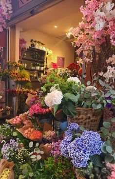 a flower shop filled with lots of different types of flowers