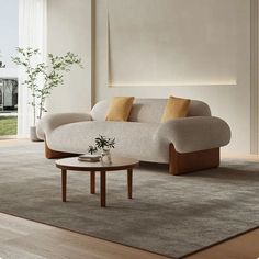 a living room with a couch, coffee table and potted plant in the corner