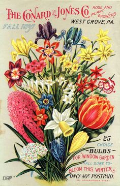 an old magazine cover with flowers in it