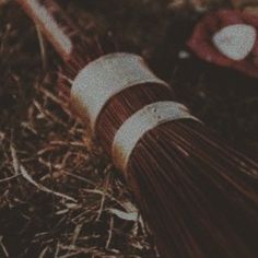 a close up of a brush on the ground