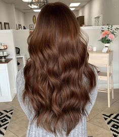 Chestnut Brown Hair Aesthetic, Soft Chestnut Brown Hair, Chest Nut Brown Hair, Honey Chocolate Hair, Machiatto Hair Color, Cinnamon Hair Color Balayage, Light Mahogany Hair Color, Brown Warm Hair, Vanilla Brown Hair