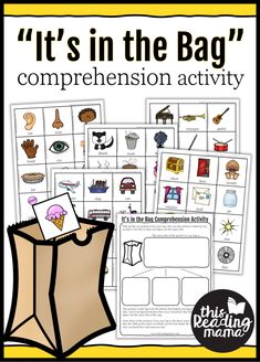 it's in the bag comprehension activity