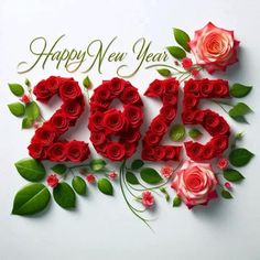 happy new year 2013 with roses and green leaves