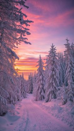 the sun is setting in the sky over some snow - covered trees and a road