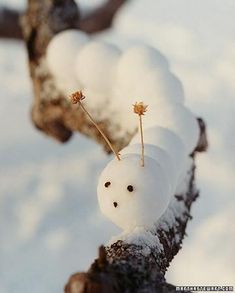 a snowman is sitting in the middle of a tree branch with two small flowers sticking out of it's head