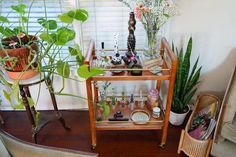 a shelf with plants and other items on it