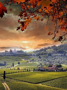 an autumn sunset over the rolling hills and vineyards