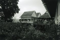 black and white photograph of an old house in the country side with bushes around it