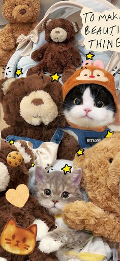 there are many stuffed animals and cats in the basket with one cat wearing a hat