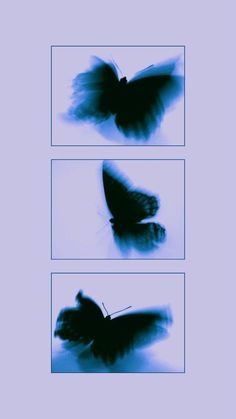 wallpaper iphone wallpaper butterfly wallpaper telefon duvar kağıtları Butterfly Grunge Aesthetic, Film Aesthetic Photography, Butterfly Grunge, Moving Butterfly, Aesthetic Butterfly, Film Paper, Cute Tumblr Wallpaper, Edgy Wallpaper, Photography Aesthetic