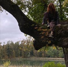 a person sitting on top of a tree next to a body of water in the woods