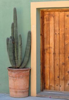 a potted cactus next to a wooden door