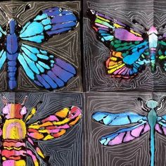 four different types of dragonflies painted on paper