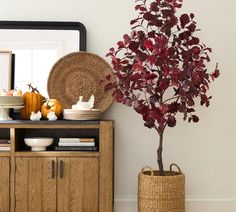 a potted plant sitting on top of a wooden cabinet next to a mirror and other items