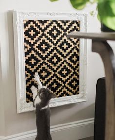 a cat standing on its hind legs in front of a wall with a black and white pattern