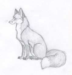 a pencil drawing of a fox sitting down