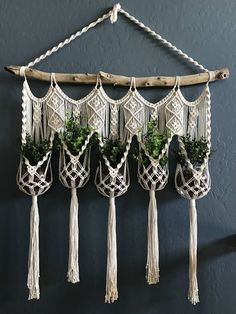 macrame wall hangings with plants in them