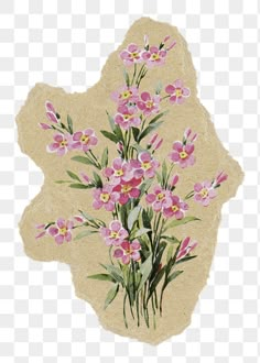 some pink flowers on a white background with green leaves and stems in the center,