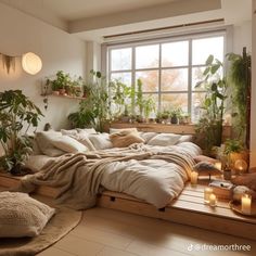 a bed with lots of plants and candles on the floor in front of a window