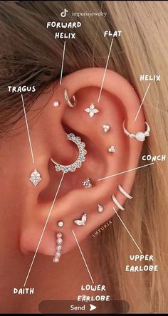 an ear with different types of piercings attached to the ears and behind it is labeled