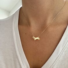 "Fun and playful, dachshund necklace featuring a small heart on the dogs chest. Inspired by my dachshund Pickles🐾 Perfect on its own or layered with more necklaces. Makes a great gift for dachshund lovers. Gold filled chain.  Charm: 16k gold plated, brass. 20x11mm 16\" length *Gold filled is a more affordable alternative to solid gold jewelry. Gold filled is a layer of gold bonded onto a base metal with heat and pressure that contains 100+ times more gold than gold plated jewelry.  *It is very durable and tarnish resistant.  *With proper care, gold filled jewelry can last several years. Avoid contact with harsh chemicals, perfumes, water, etc.  *Gold filled jewelry can be worn by people with sensitive skin because it is hypoallergenic, lead free and nickel free.  If you have any questions Dachshund Jewelry, Necklace With Heart, Gold Bond, Dog Necklace, Dachshund Lovers, Solid Gold Jewelry, Dachshund Dog, Small Heart, Gold Filled Jewelry