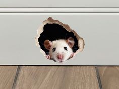 a rat peeks out from behind a hole in the wall that appears to have been opened