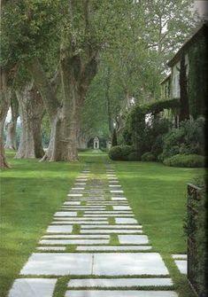 an image of a long stone path in the middle of a yard with trees on either side