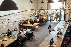 people working at desks in an office with lights strung from the ceiling above them