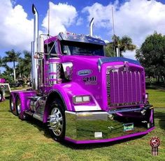 a purple semi truck parked on top of a lush green field