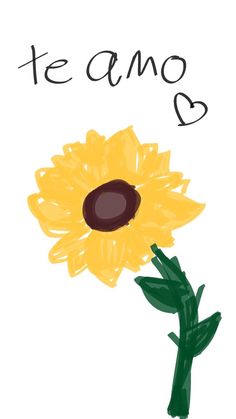 a drawing of a yellow flower with the words te amo in spanish above it