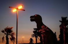 a dinosaur statue is lit up at night by a street light with palm trees in the background