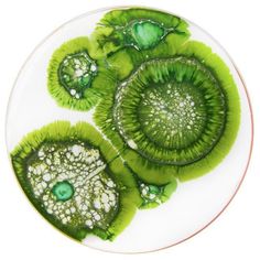 a plate with some green plants on it