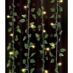 Litehaus 3.5 ft. W x 5 ft. H Battery Powered 6 Strands Warm White LED Vine Curtain String Lights. 300 faux leaves with 66 warm white LEDs. Includes 3 mini adhesive hanging clips. Enchanted Forest Baby Shower, Forest Bedroom, Forest Room, Led Curtain, Lights Bedroom