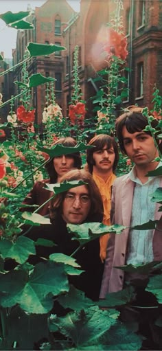 an image of some people in the middle of flowers and plants with one man looking at the camera