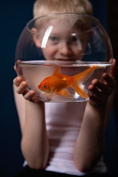 a little boy holding a bowl with a goldfish in it