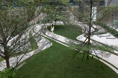 an aerial view of a park with grass and trees