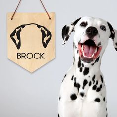 a dalmatian dog standing next to a wooden sign with the word brock on it